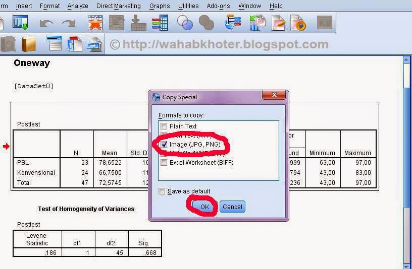 7 Cara Mengubah Output SPSS ke Word di 2026 yang Jarang Diketahui, Wajib Tahu