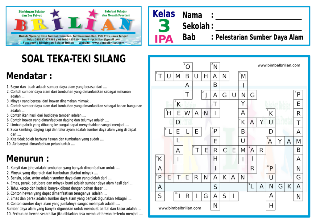 Mengenal Sumber Daya Alam: Harta Karun Bumi yang Harus Kita Jaga